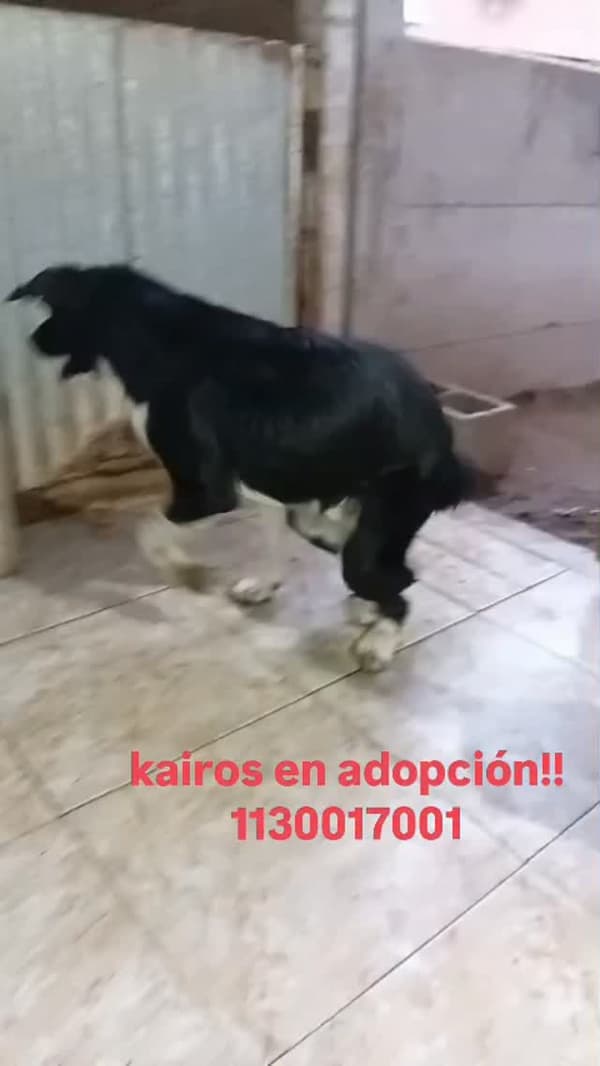 Kairos
