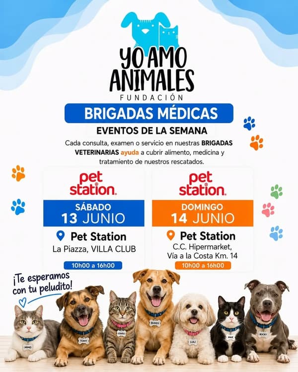 MIMO, TOMY, KIARA +4