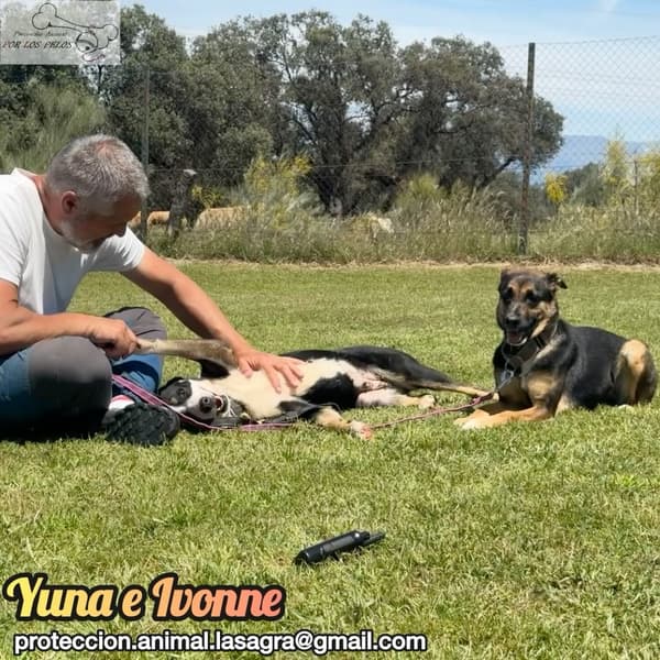 Yuna, Ivonne