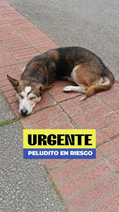 Sin nombre