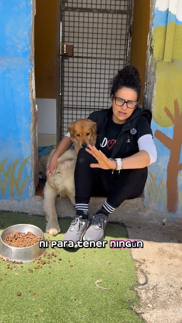 Jazmín, Mimo