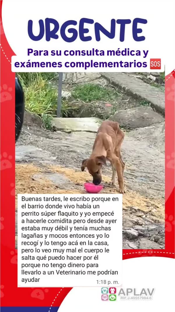 Sin nombre