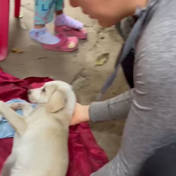Blanquita