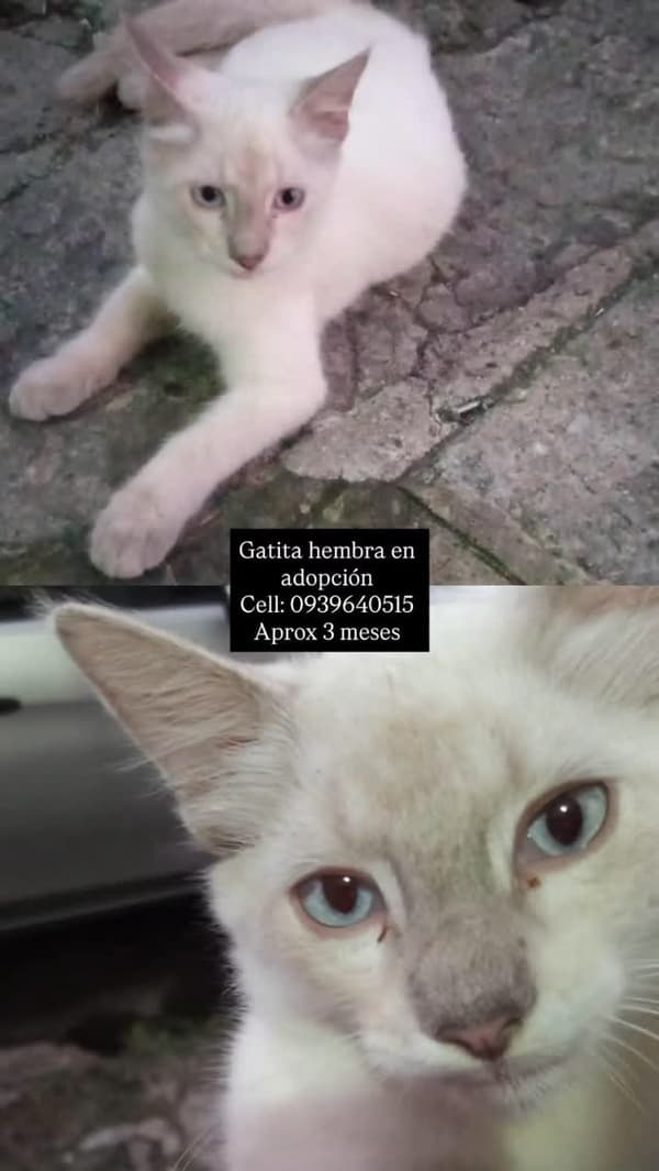Sin nombre