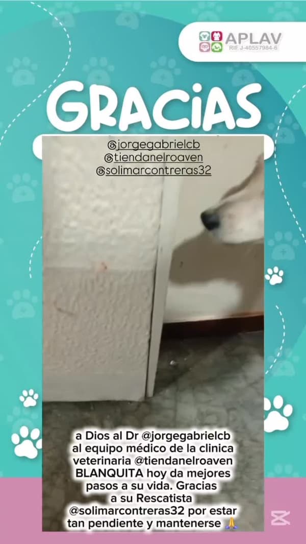 Blanquita