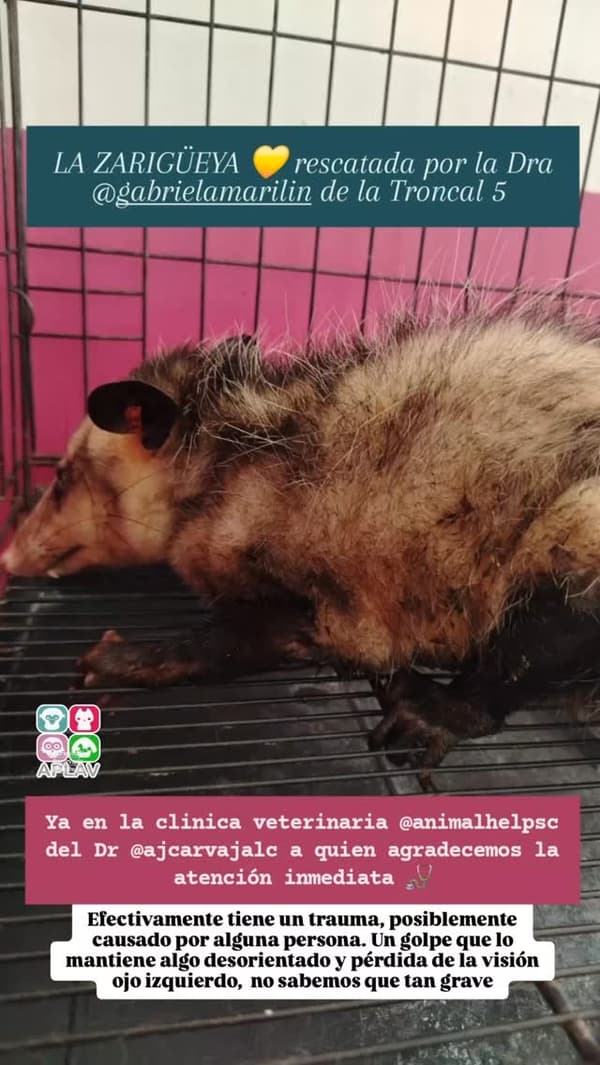 Sin nombre