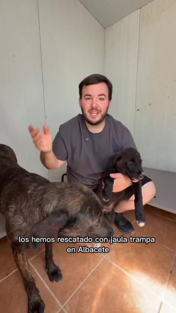 2 animalitos