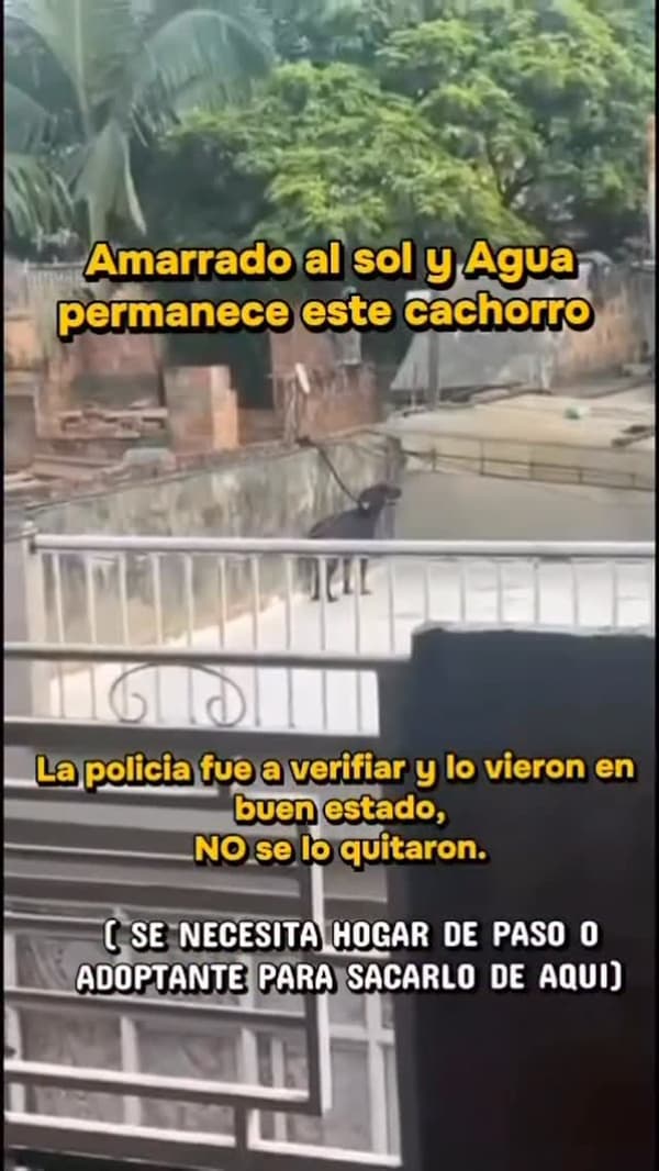 Sin nombre