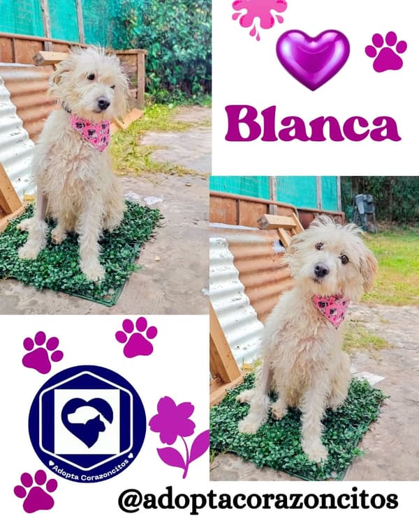 Blanca