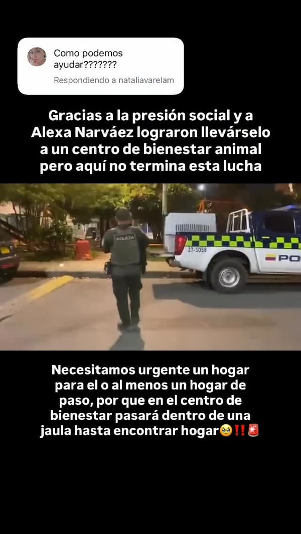 Sin nombre