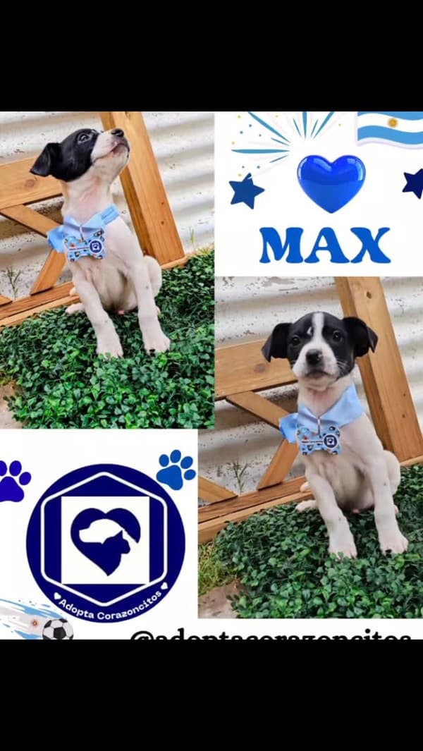 Max