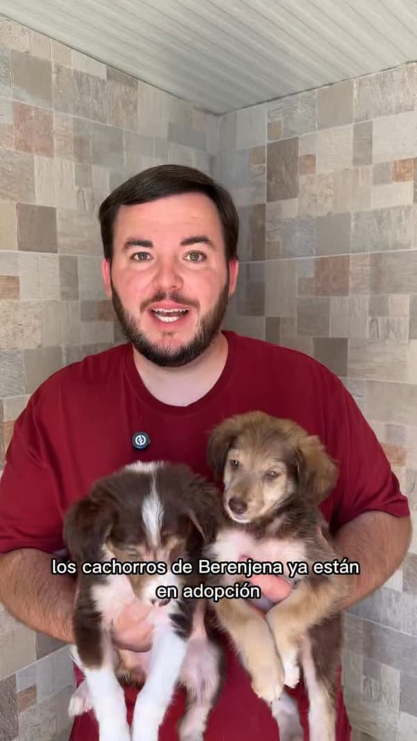 2 animalitos