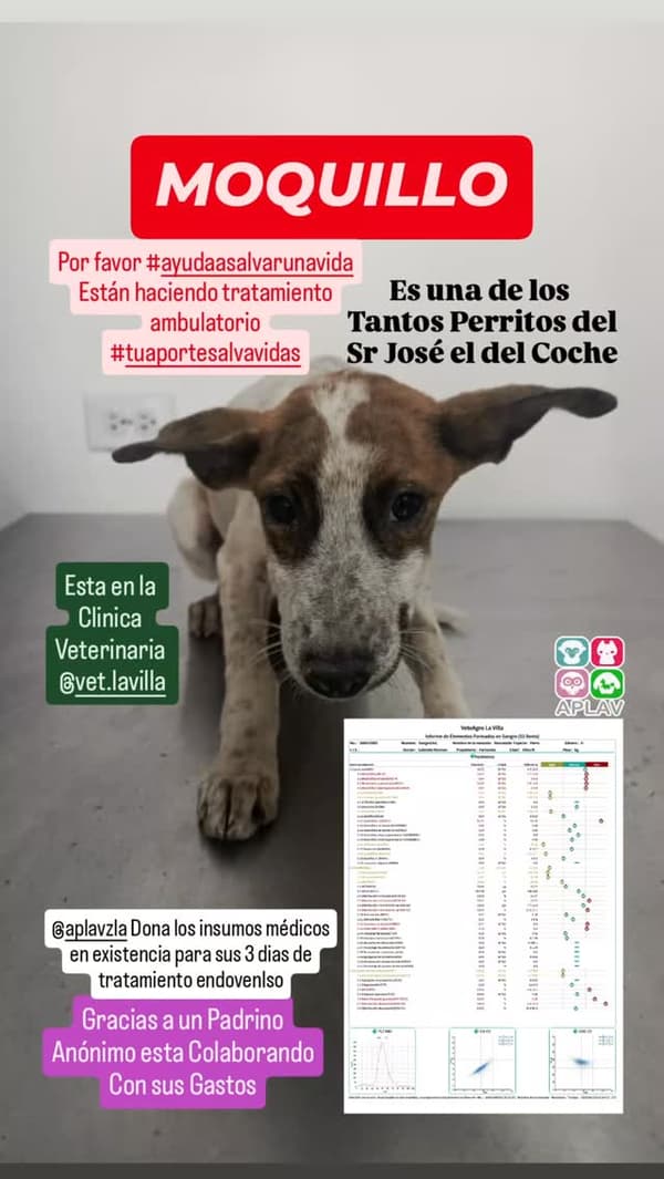 Sin nombre