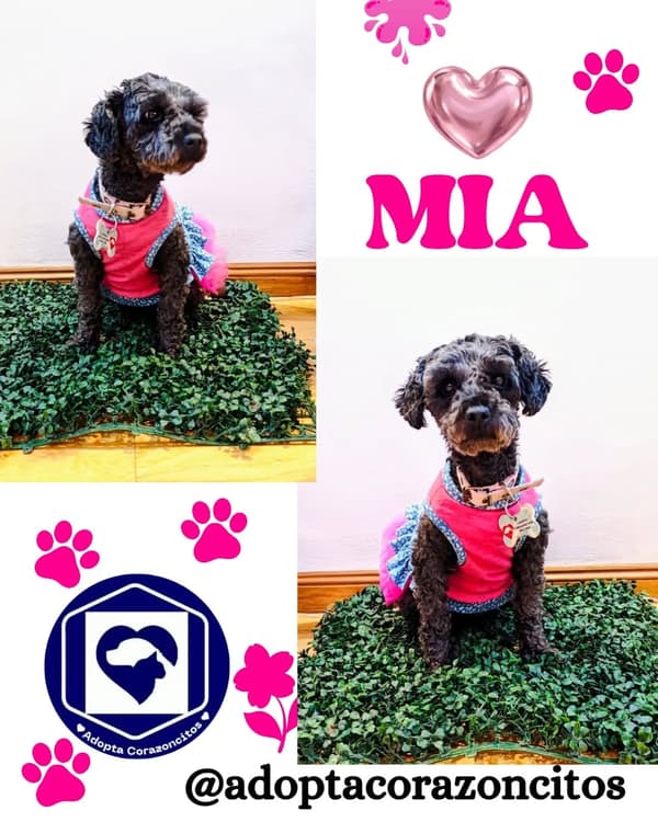 Mía