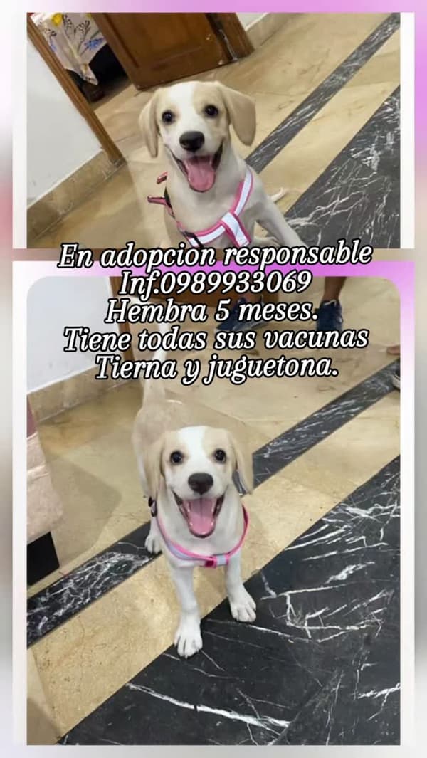 Sin nombre