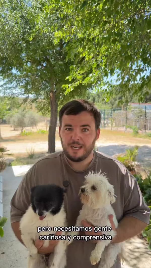 2 animalitos