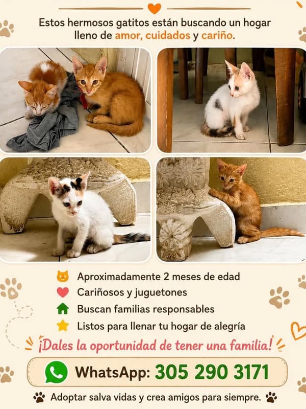 4 animalitos