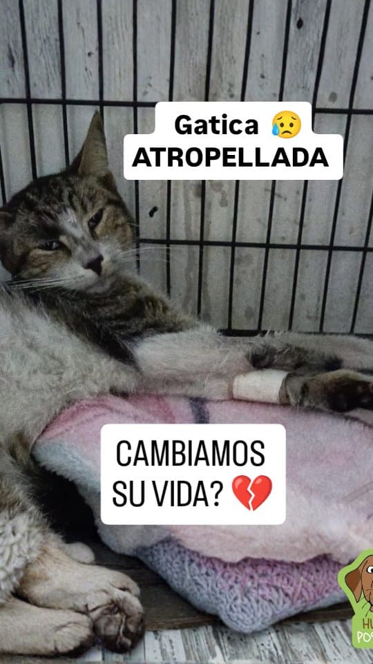 Milagros