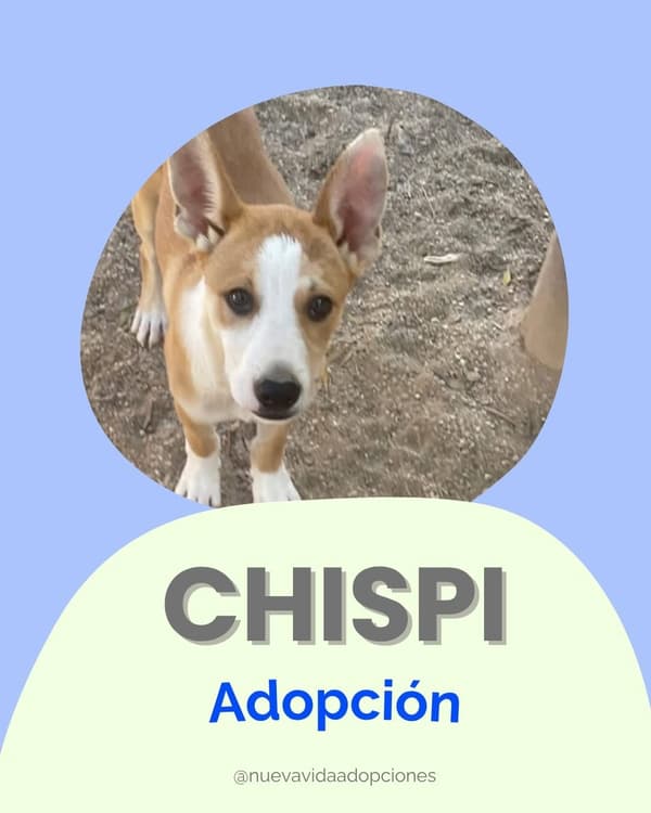 CHISPI