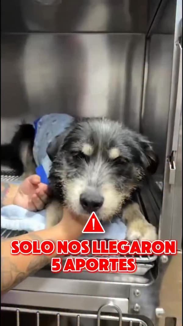 Sin nombre