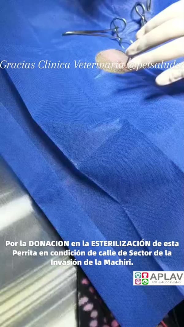 Sin nombre