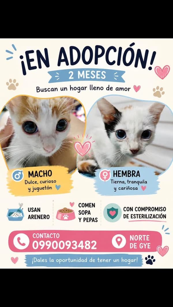 2 animalitos