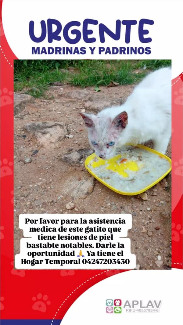 Sin nombre