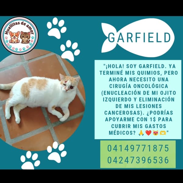 Garfield