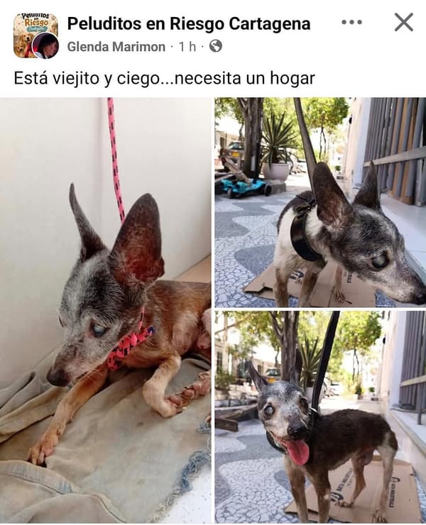 Sin nombre