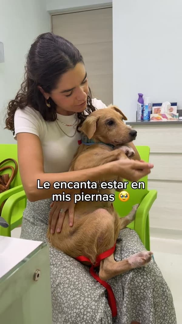 Nalita