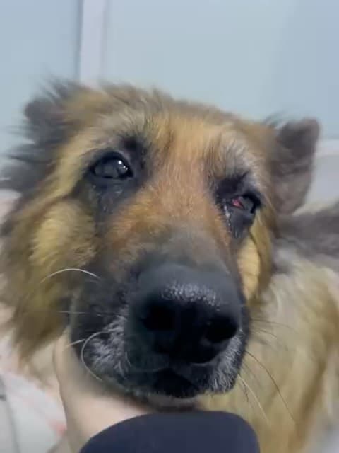 Lucía