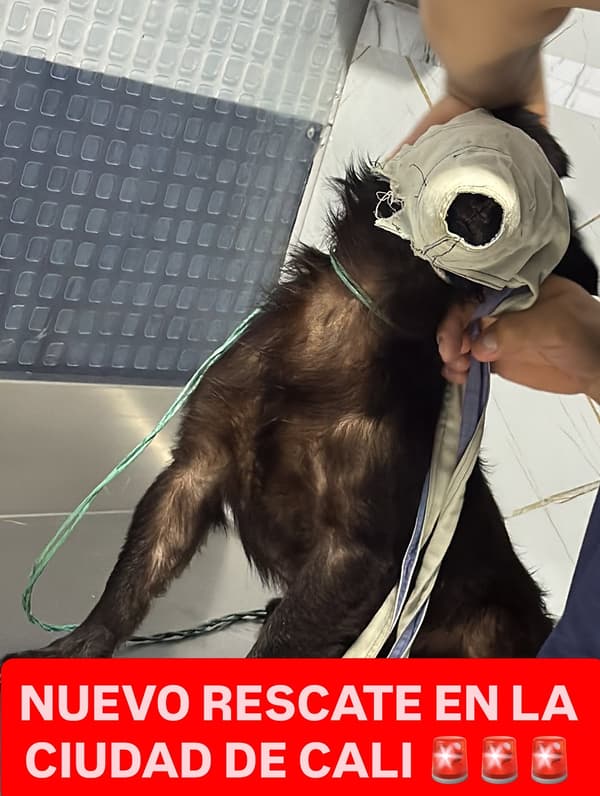 Sin nombre
