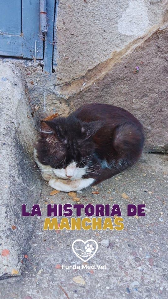 Manchas
