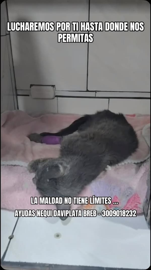 Sin nombre