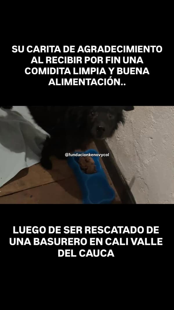 Sin nombre