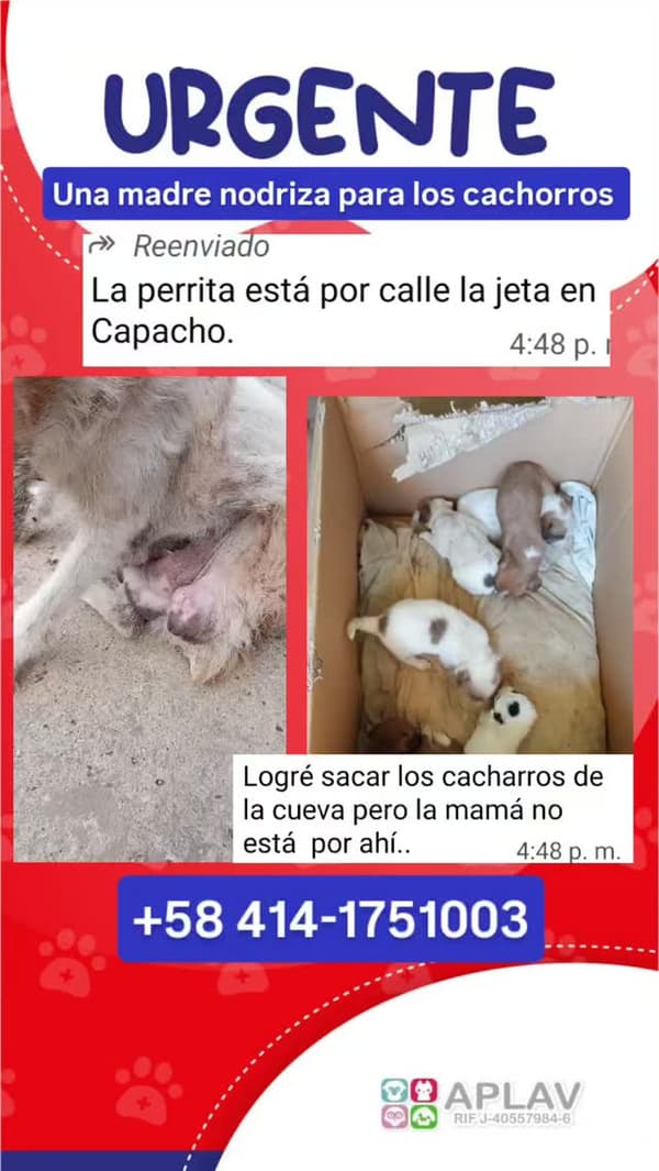 Sin nombre