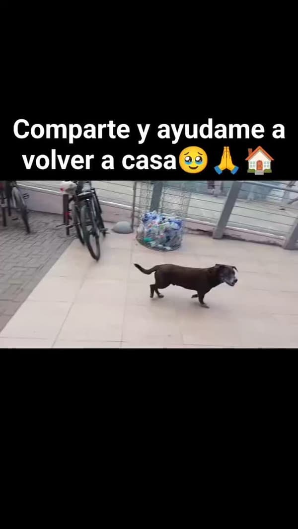 Sin nombre