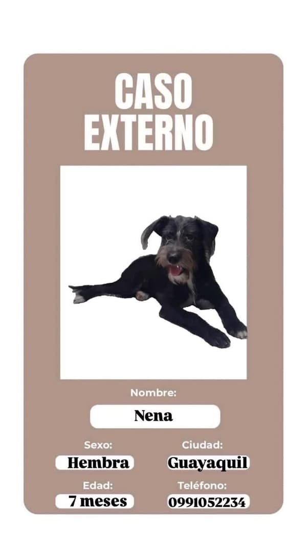Nena