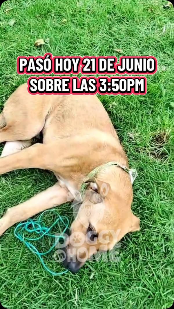 Sin nombre