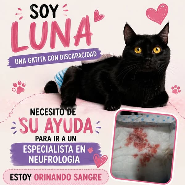 Lunita