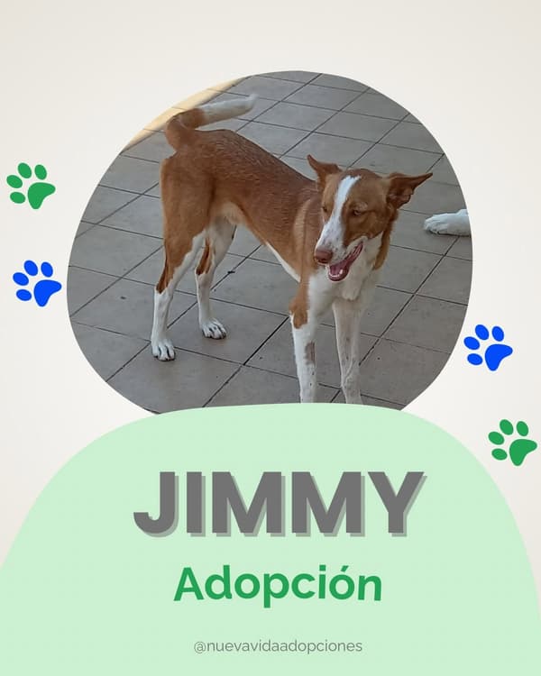 Jimmy