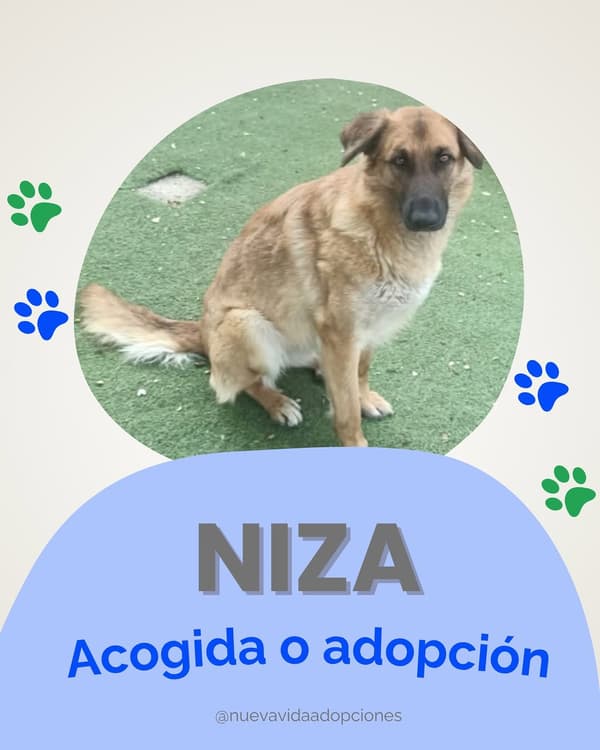 NIZA