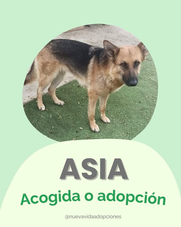 ASIA