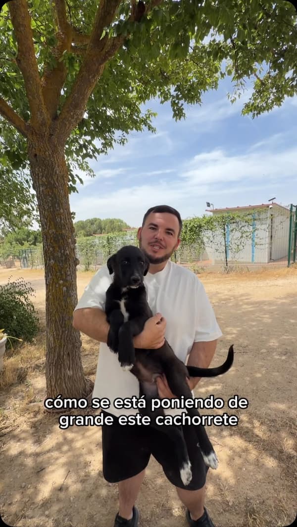 Sin nombre