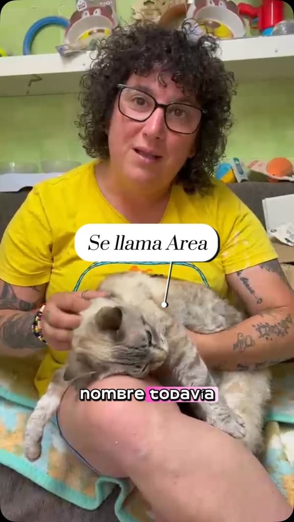 Area