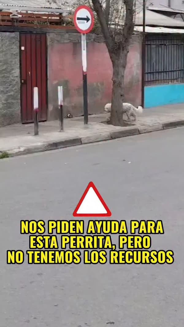 Sin nombre