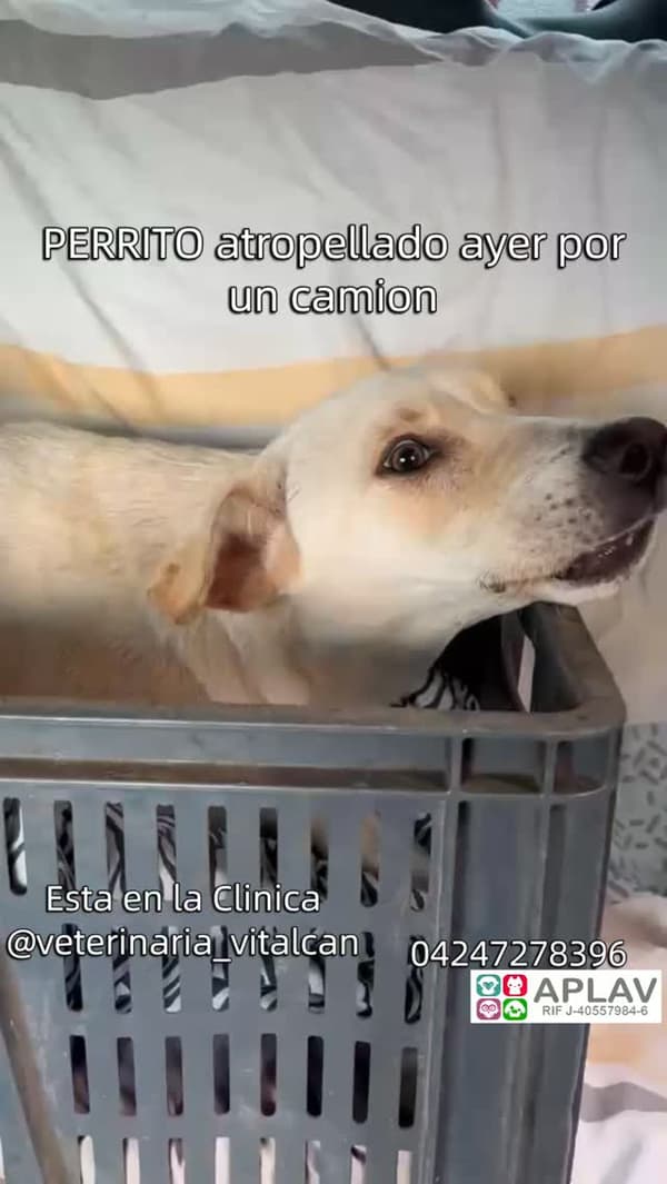 Sin nombre