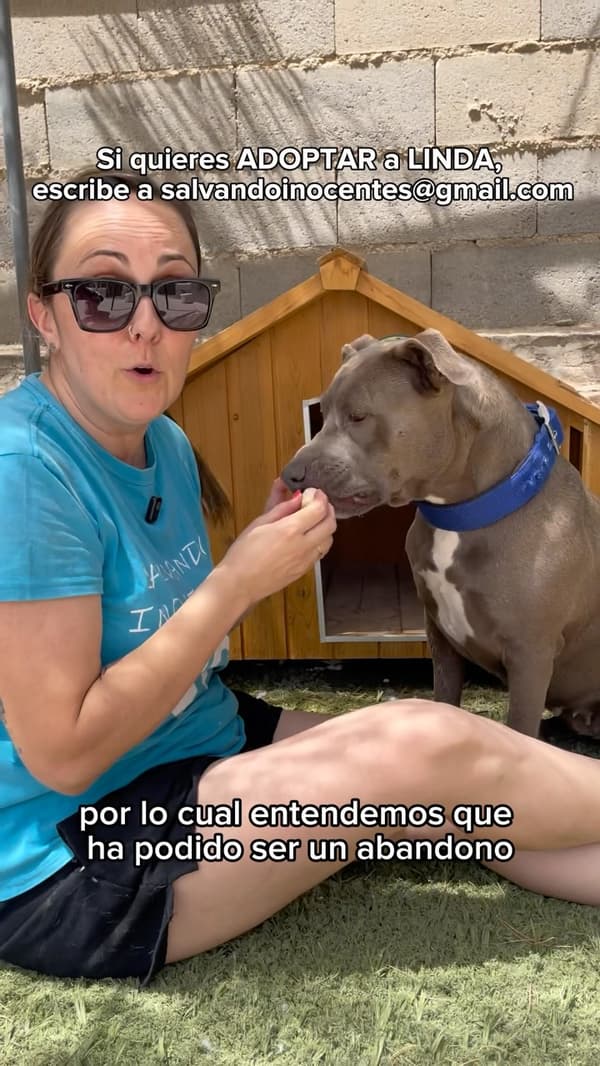 LINDA