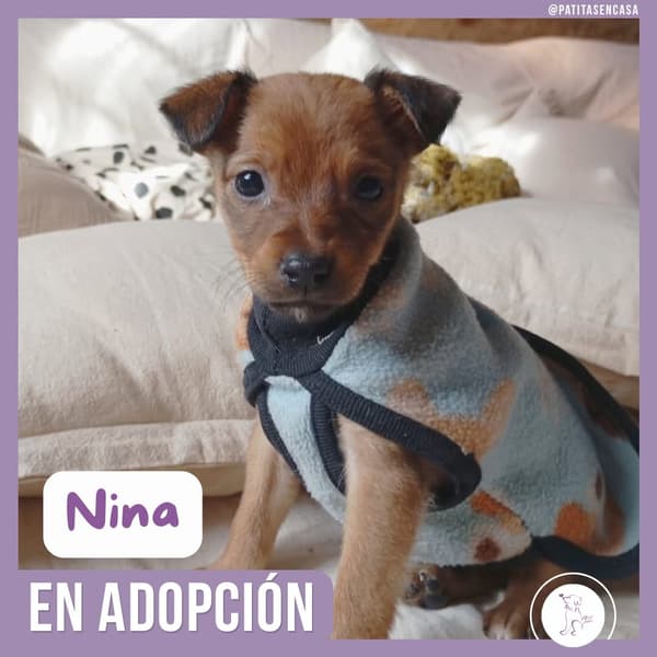 Nala