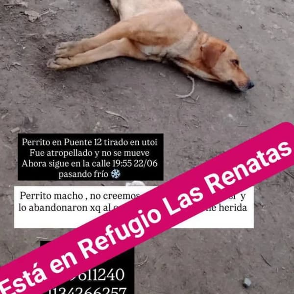 Sin nombre